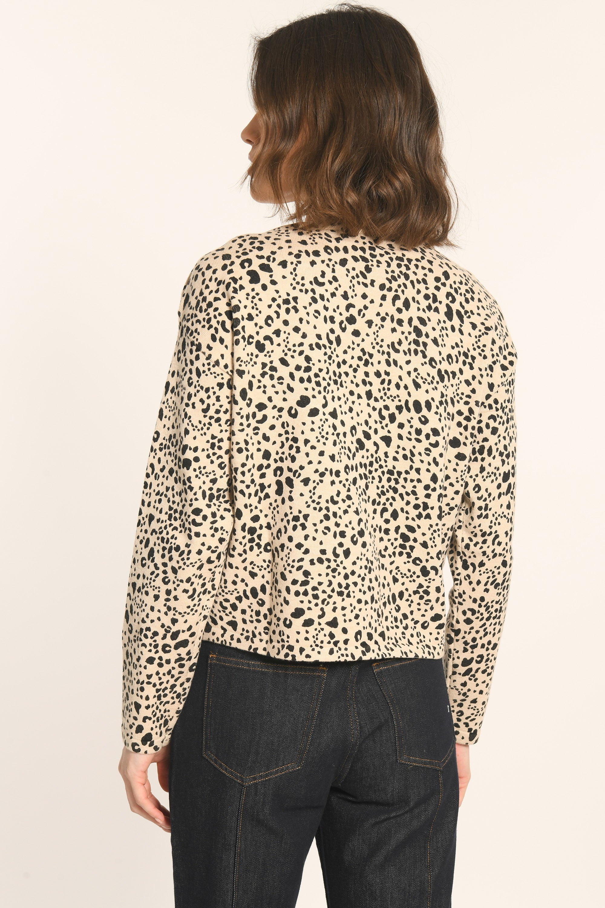 PULL - LÉOPARD - ASTOR